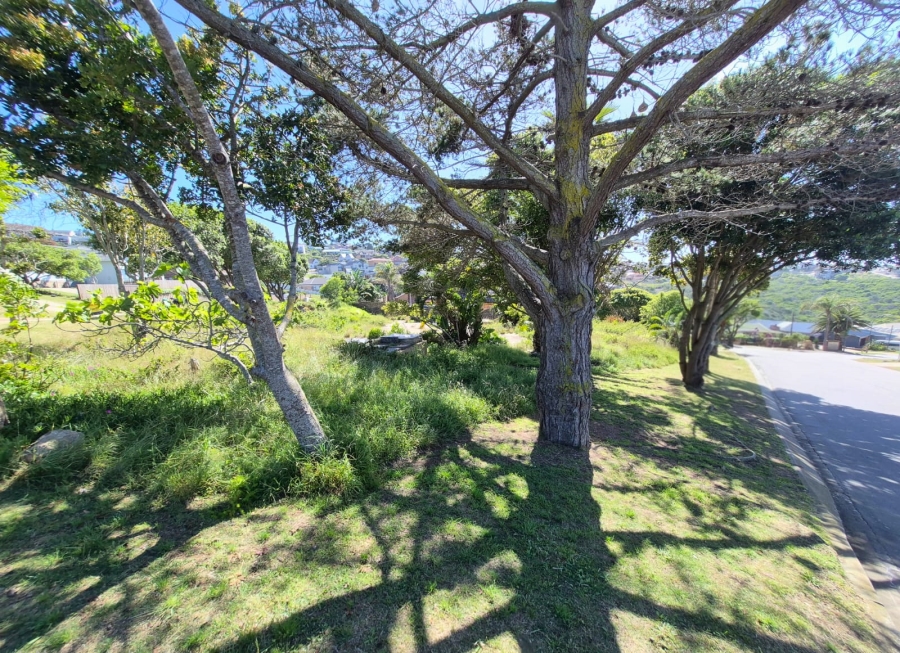 0 Bedroom Property for Sale in Dana Bay Western Cape